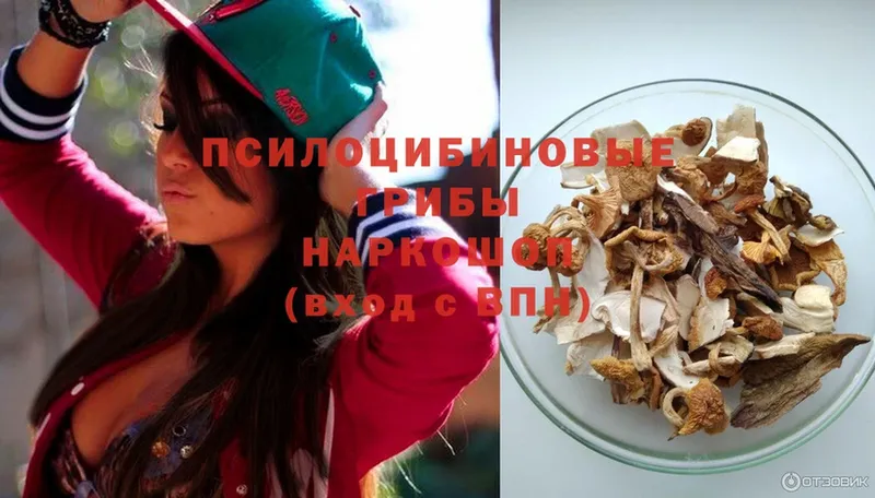 мега ссылки  Барнаул  Галлюциногенные грибы Psilocybine cubensis 